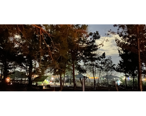 夜景パノラマ